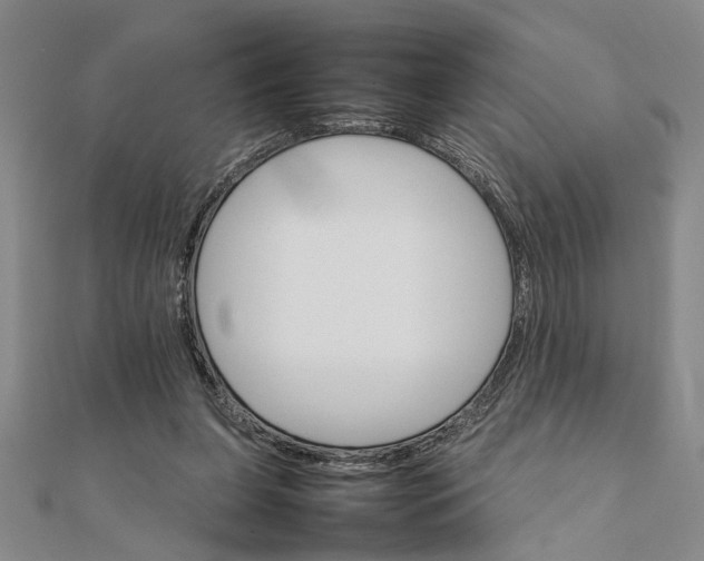 X0000111680255200908071431