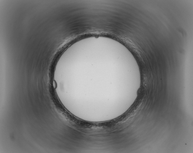 X0000111680256200908071431