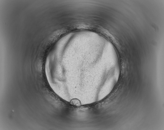 X0000111680257200908071431