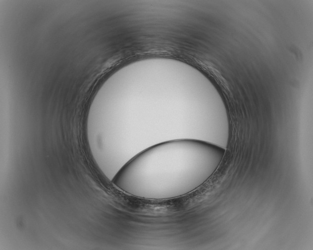 X0000111680260200908071431