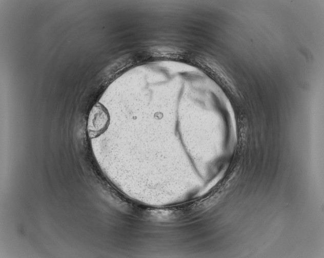 X0000111680265200908071431