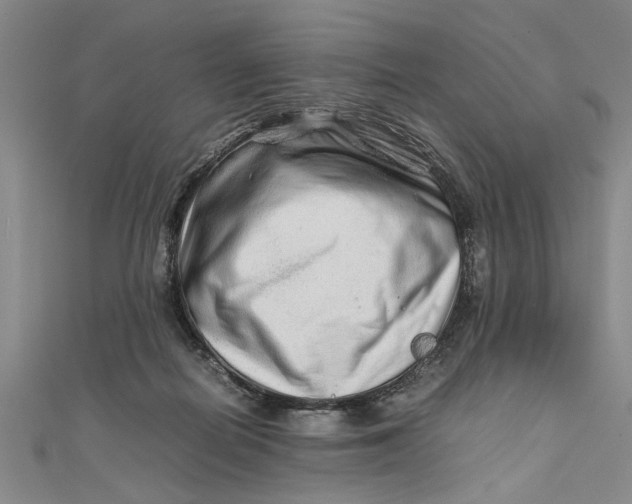 X0000111680266200908071431