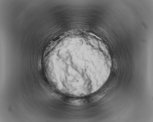 X0000111680267200908071431