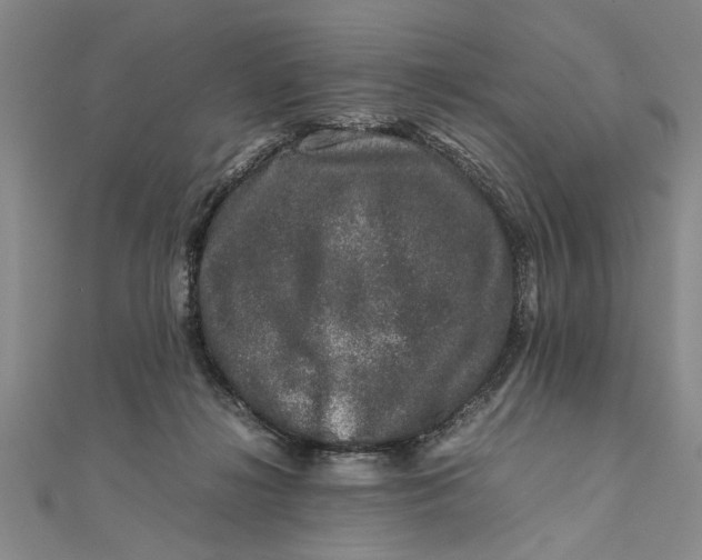 X0000111680268200908071431