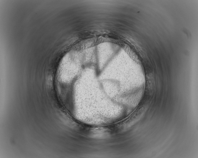 X0000111680269200908071431