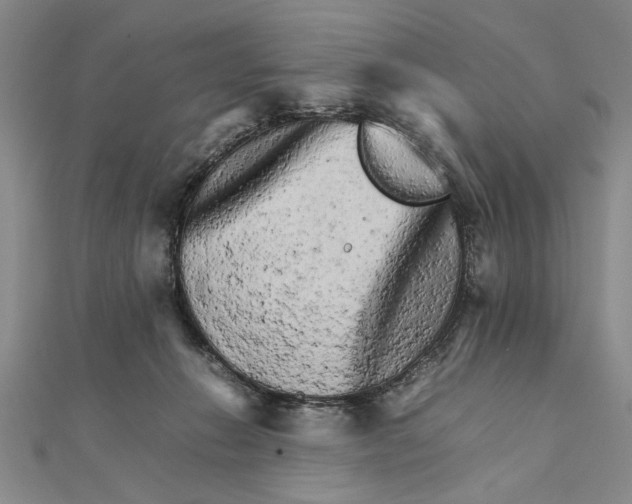 X0000111680270200908071431