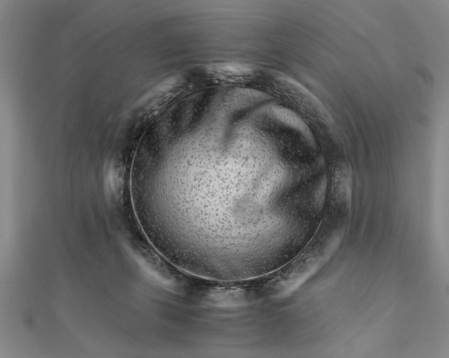 X0000111680271200908071431