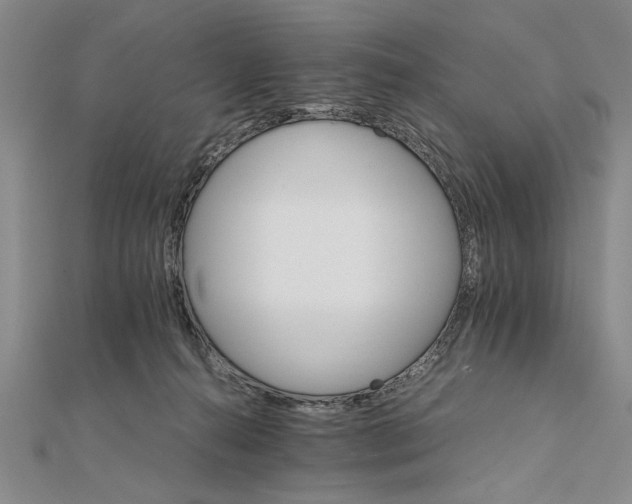 X0000111680272200908071431