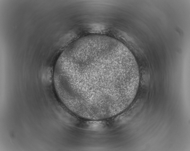 X0000111680273200908071431