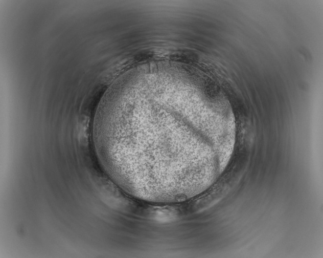 X0000111680275200908071431