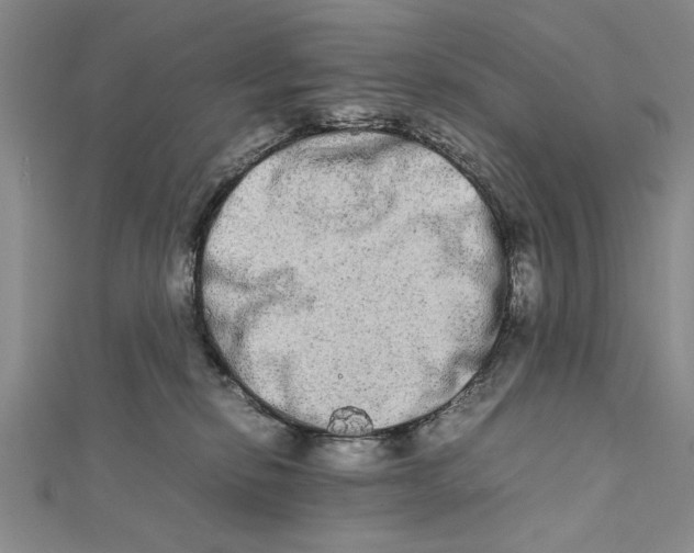 X0000111680278200908071431