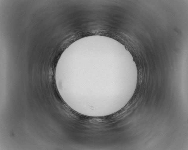 X0000111680279200908071431