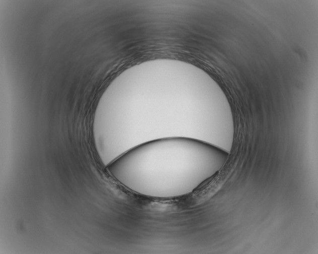 X0000111680280200908071431