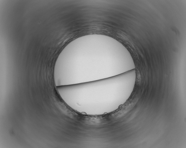 X0000111680282200908071431