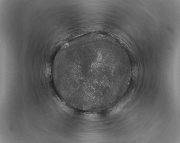 X0000111680284200908071431