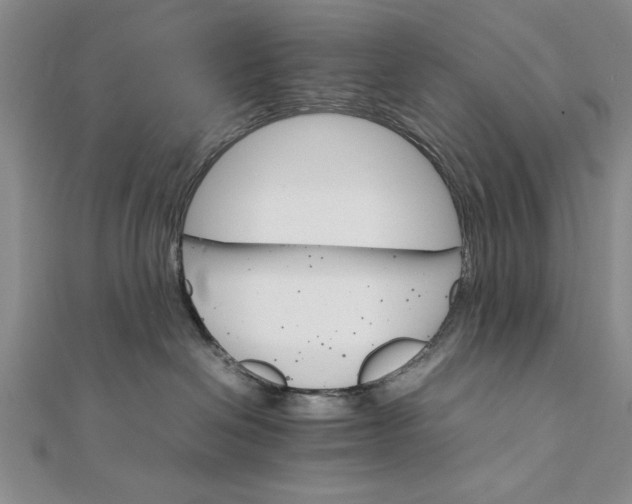 X0000111680286200908071431