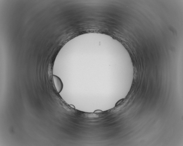 X0000111680287200908071431