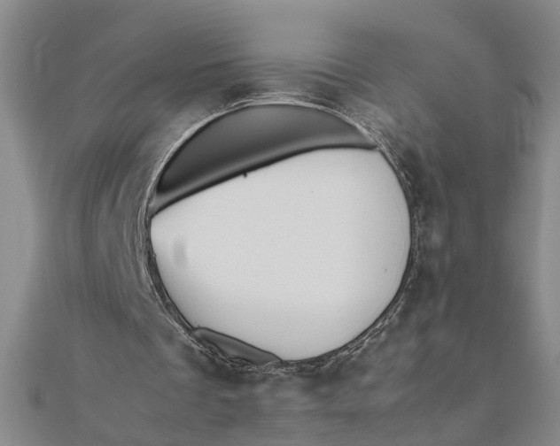 X0000111680289200908071430