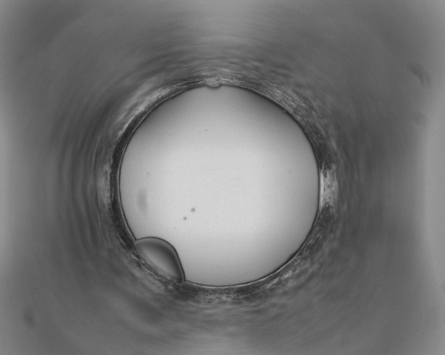 X0000111680291200908071430