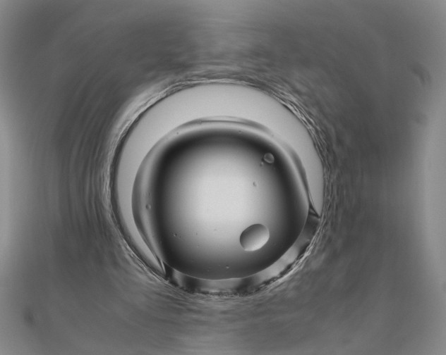 X0000111680293200908071430