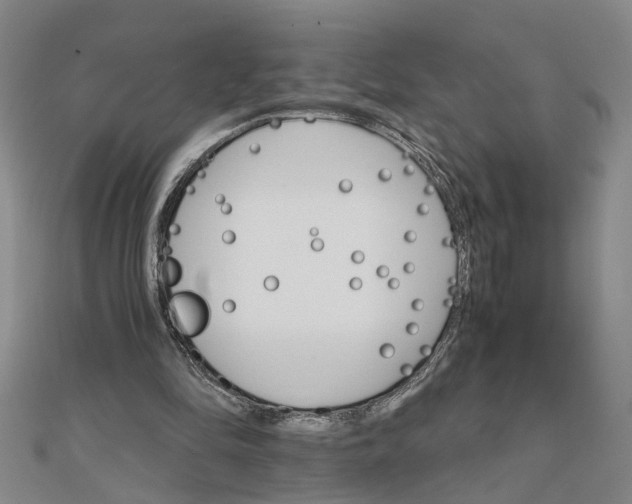 X0000111680294200908071430