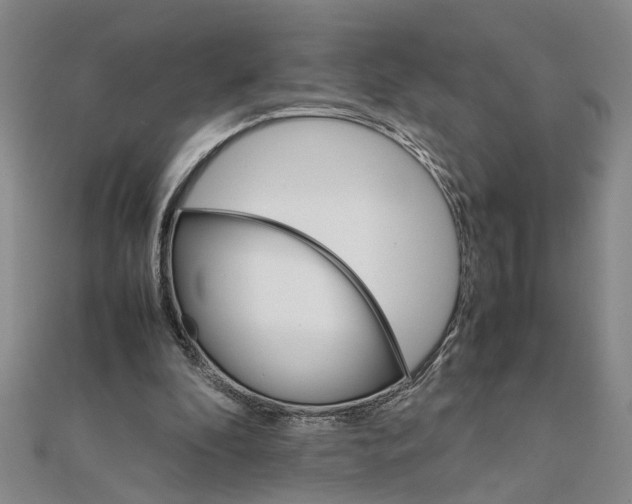 X0000111680296200908071430