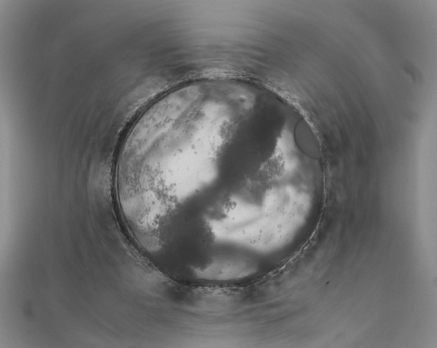 X0000111680297200908071430