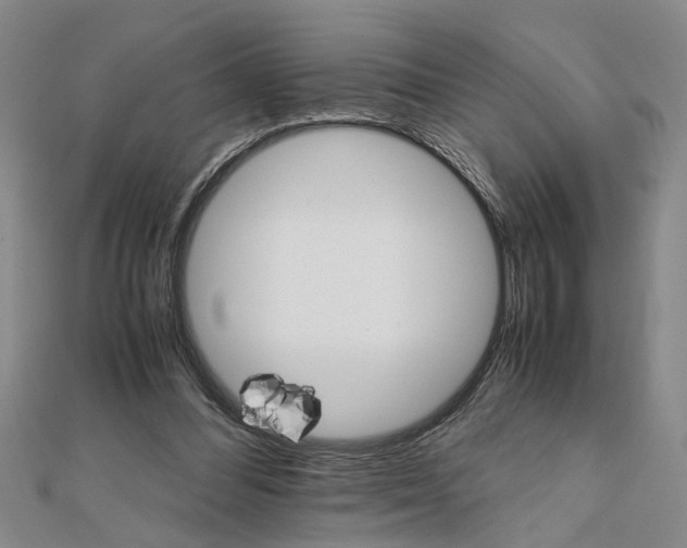 X0000111680300200908071430