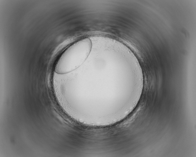 X0000111680302200908071430