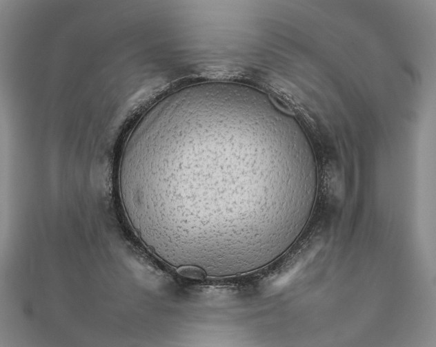 X0000111680303200908071430