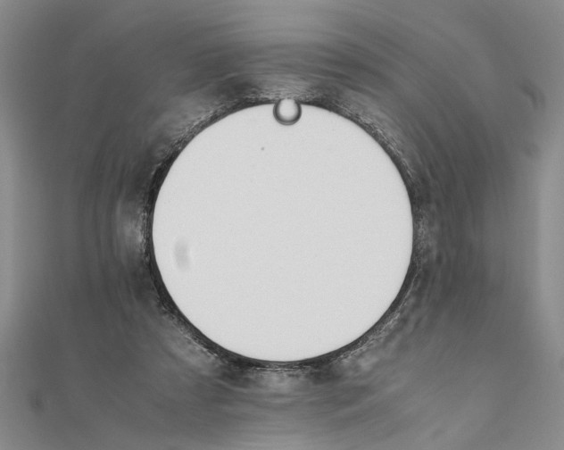 X0000111680305200908071430