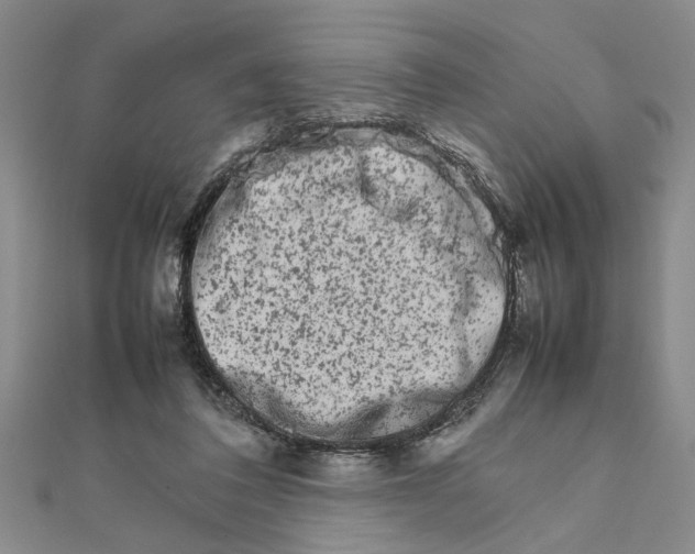 X0000111680308200908071430