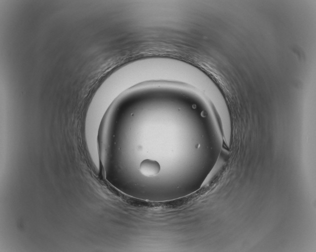 X0000111680309200908071430