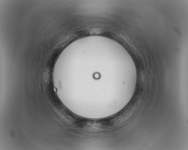 X0000111680311200908071430