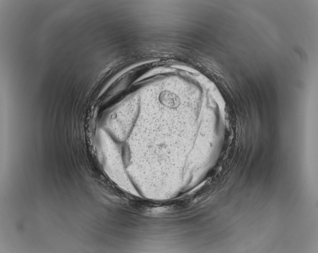 X0000111680312200908071430