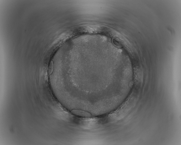 X0000111680313200908071430