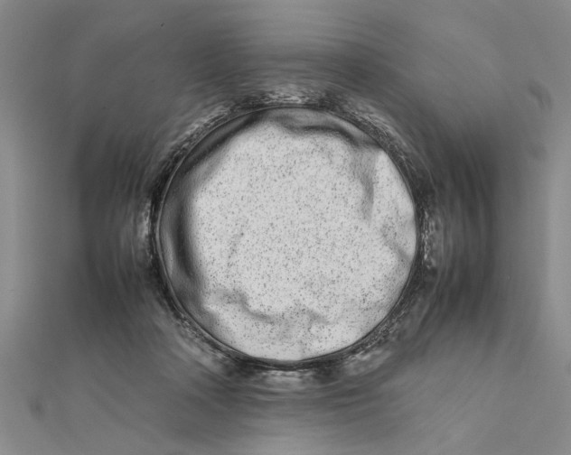 X0000111680314200908071430