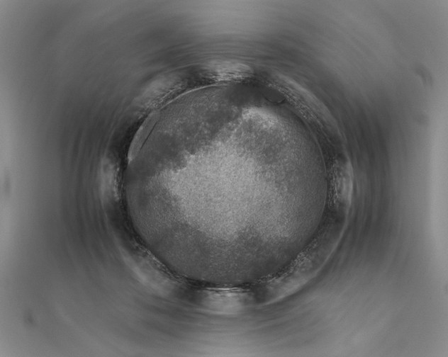 X0000111680316200908071430