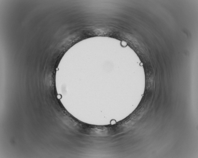 X0000111680317200908071430