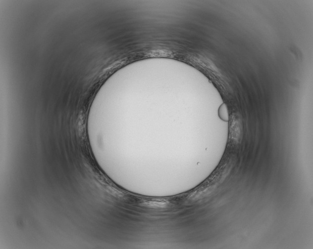 X0000111680318200908071430