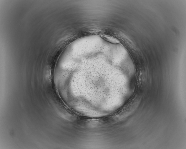 X0000111680320200908071430