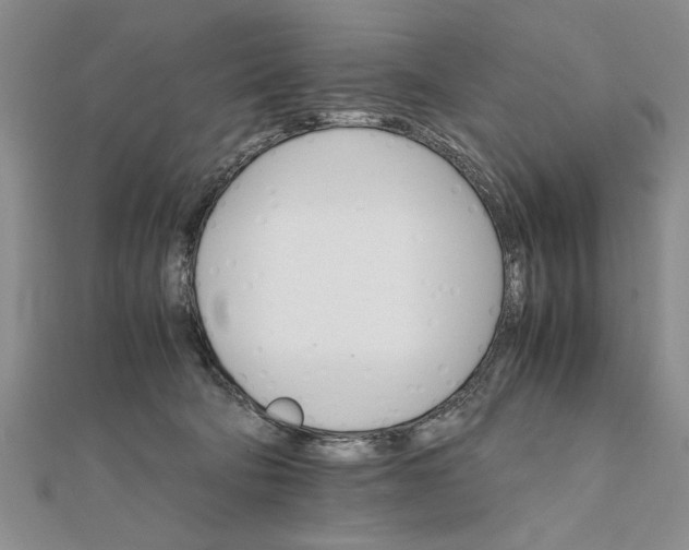 X0000111680322200908071430