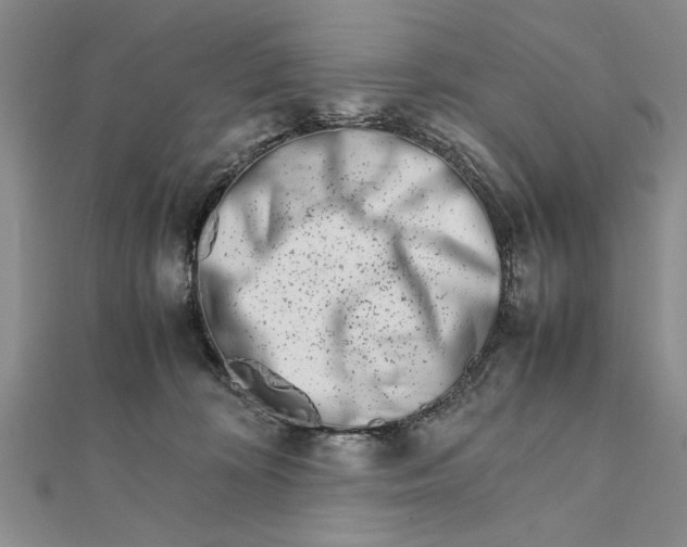 X0000111680324200908071430