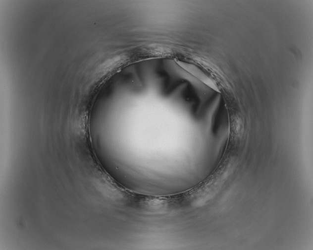 X0000111680325200908071430