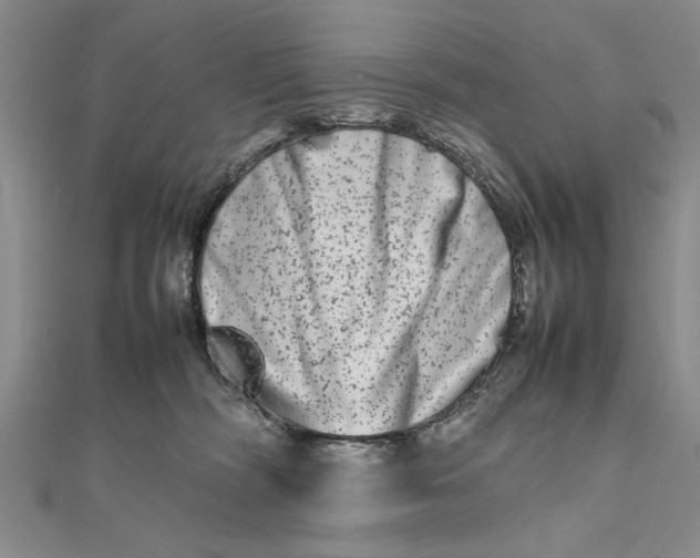 X0000111680326200908071430