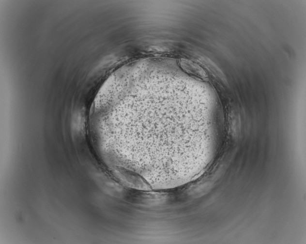 X0000111680328200908071430