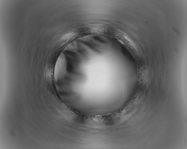 X0000111680329200908071430