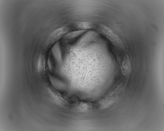 X0000111680330200908071430