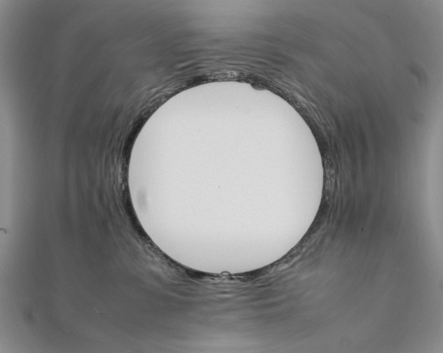 X0000111680331200908071430