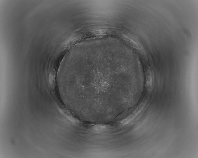 X0000111680332200908071430